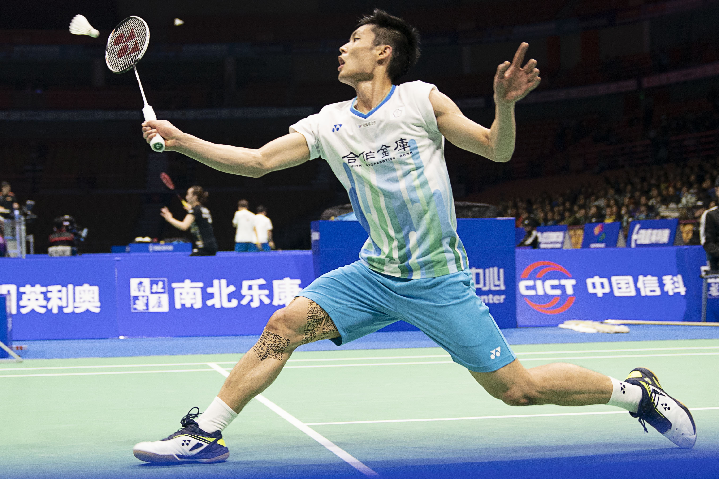 在引进马库 在引进马库