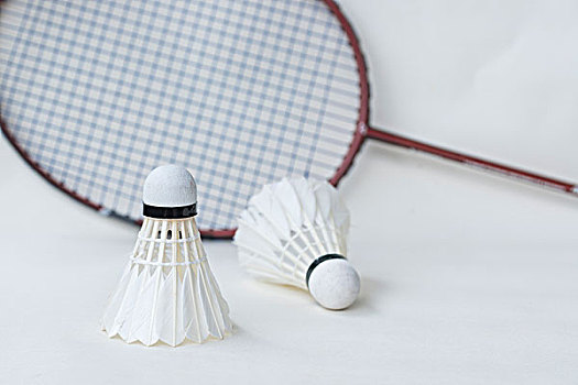 盟流言中 盟流言中