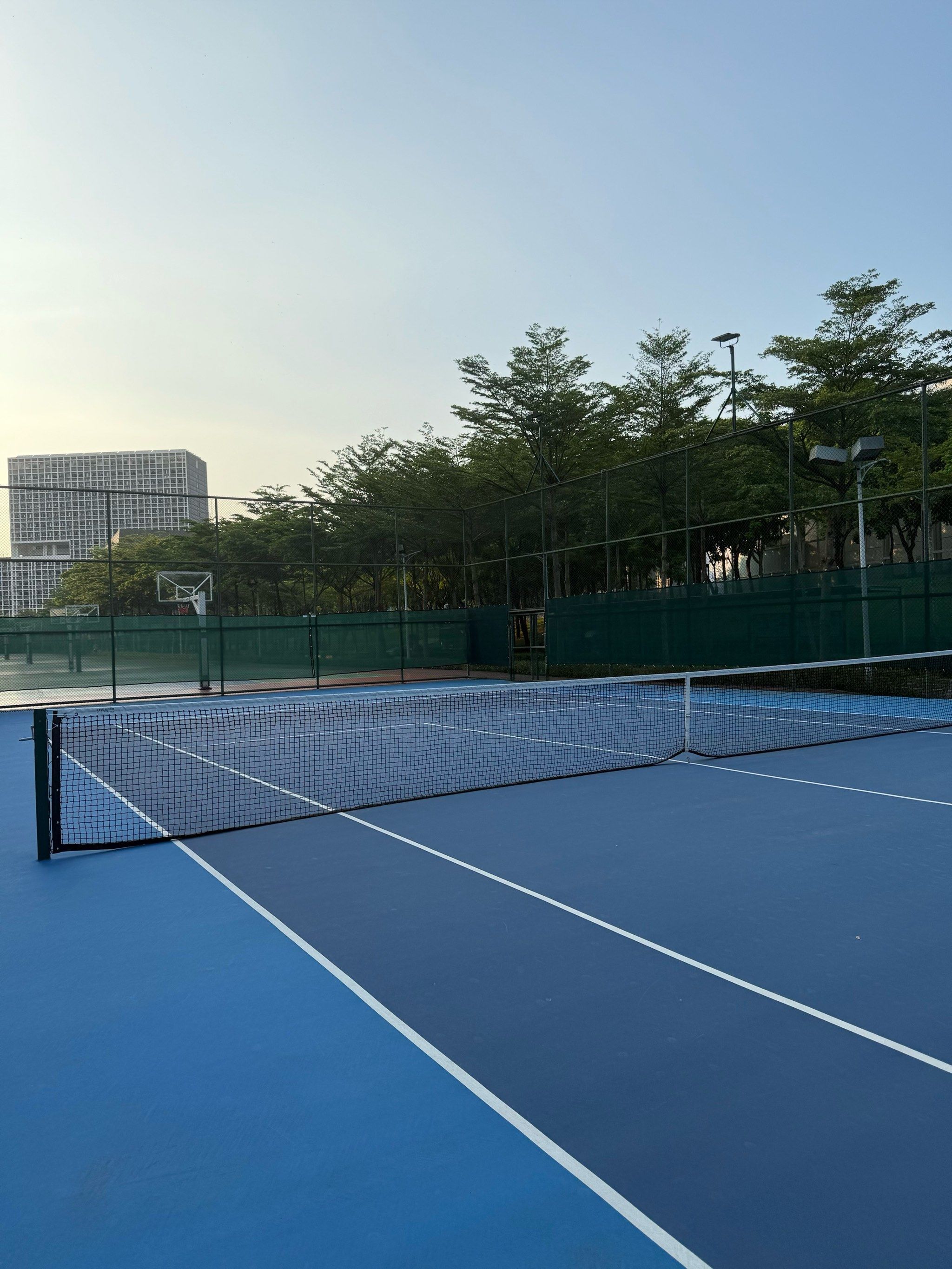 许多运动员 许多运动员