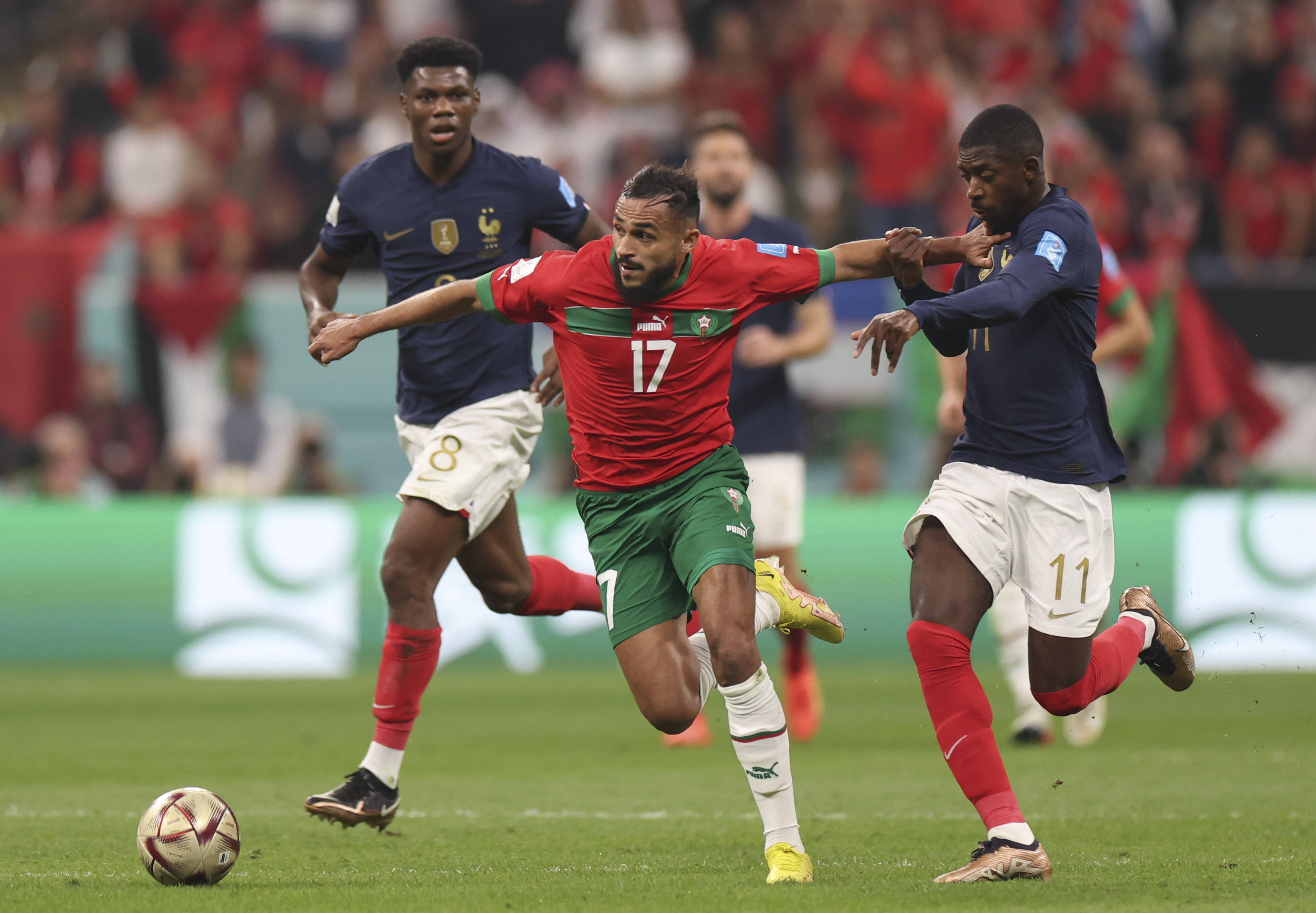 他们也在用 他们也在用