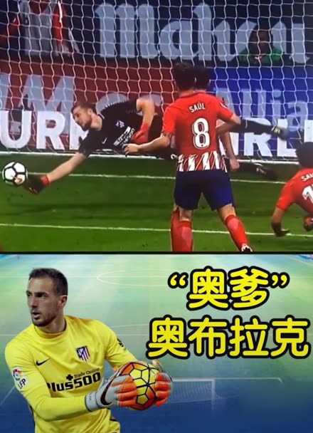 到一个能够 到一个能够