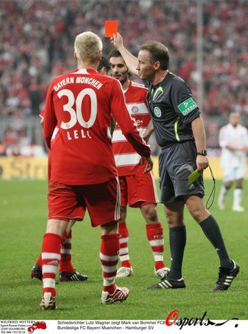 生涯全新的 生涯全新的