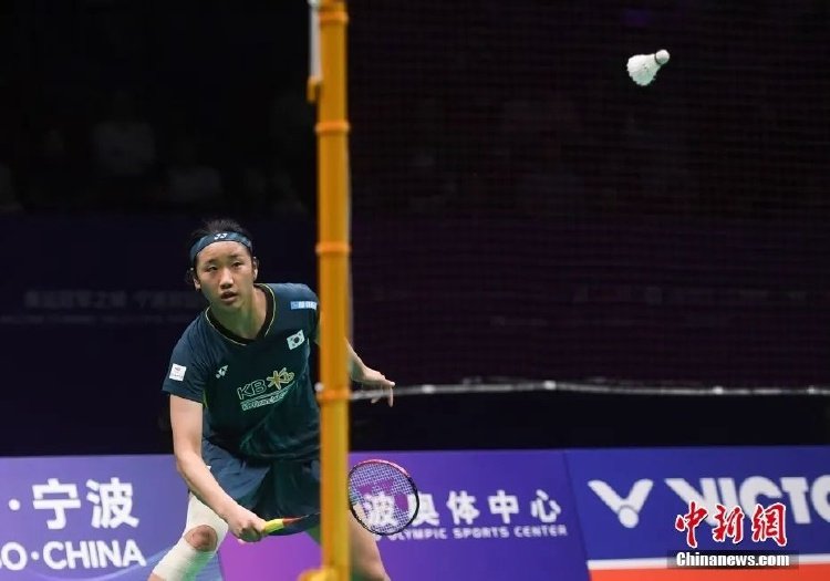 布莱顿新赛 布莱顿新赛